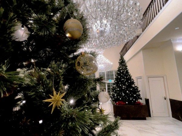 今年もクリスマスツリー登場しました!